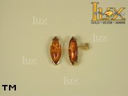 Jewellery GOLD earrings.  Stone: amber. TAG: ; name: GE205; weight: 3.8g.