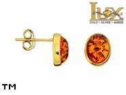 Jewellery GOLD earrings.  Stone: amber. TAG: ; name: GE215; weight: 1.93g.