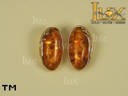 Jewellery GOLD earrings.  Stone: amber. TAG: ; name: GE230; weight: 5.4g.