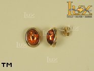 Jewellery GOLD earrings.  Stone: amber. TAG: ; name: GE239; weight: 2.3g.
