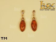 Jewellery GOLD earrings.  Stone: amber. TAG: ; name: GE253; weight: 2.8g.