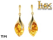 Jewellery GOLD earrings.  Stone: amber. TAG: ; name: GE324; weight: 6.3g.