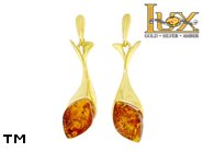 Jewellery GOLD earrings.  Stone: amber. TAG: ; name: GE383; weight: 3.84g.