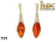 Jewellery GOLD earrings.  Stone: amber. TAG: modern; name: GE401SW; weight: 0g.
