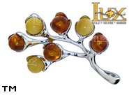 Jewellery SILVER sterling brooche.  Stone: amber. TAG: nature; name: BR-631; weight: 7.7g.