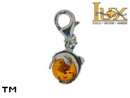 Jewellery SILVER sterling charm.  Stone: amber. Dolphin. TAG: animals; name: CH-346-2; weight: 1.7g.