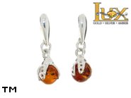 Jewellery SILVER sterling earrings.  Stone: amber. TAG: animals; name: E-833; weight: 2.56g.