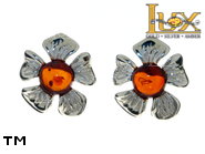 Jewellery SILVER sterling earrings.  Stone: amber. TAG: nature; name: E-E60; weight: 2.3g.