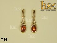 Jewellery GOLD earrings.  Stone: amber. TAG: ; name: GE004; weight: 3.3g.