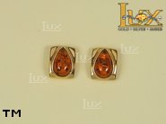 Jewellery GOLD earrings.  Stone: amber. TAG: ; name: GE011; weight: 2.8g.