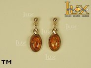 Jewellery GOLD earrings.  Stone: amber. TAG: ; name: GE019; weight: 3.3g.