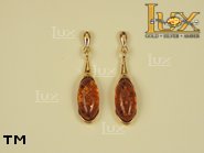 Jewellery GOLD earrings.  Stone: amber. TAG: ; name: GE020; weight: 4.2g.