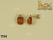 Jewellery GOLD earrings.  Stone: amber. TAG: ; name: GE021; weight: 2.7g.