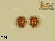 Jewellery GOLD earrings.  Stone: amber. TAG: ; name: GE034; weight: 2.9g.