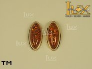 Jewellery GOLD earrings.  Stone: amber. TAG: ; name: GE036; weight: 5.4g.