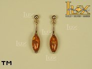 Jewellery GOLD earrings.  Stone: amber. TAG: ; name: GE063; weight: 2.4g.