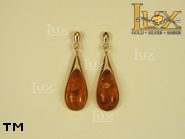 Jewellery GOLD earrings.  Stone: amber. TAG: clasic; name: GE069; weight: 5.1g.