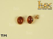 Jewellery GOLD earrings.  Stone: amber. TAG: ; name: GE111; weight: 2.2g.