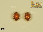 Jewellery GOLD earrings.  Stone: amber. TAG: ; name: GE117; weight: 1.9g.