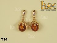 Jewellery GOLD earrings.  Stone: amber. TAG: animals, clasic, signs; name: GE129; weight: 4.1g.