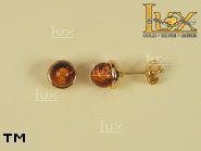 Jewellery GOLD earrings.  Stone: amber. TAG: ; name: GE134; weight: 2.3g.