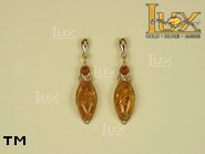 Jewellery GOLD earrings.  Stone: amber. TAG: ; name: GE149; weight: 3.7g.