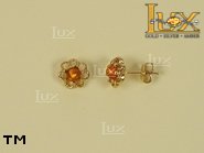 Jewellery GOLD earrings.  Stone: amber. TAG: ; name: GE168; weight: 2.1g.