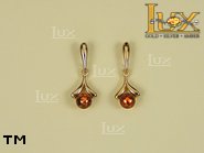 Jewellery GOLD earrings.  Stone: amber. TAG: ; name: GE172; weight: 3g.