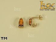 Jewellery GOLD earrings.  Stone: amber. TAG: ; name: GE176; weight: 2.4g.