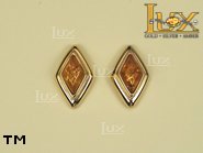 Jewellery GOLD earrings.  Stone: amber. TAG: ; name: GE206; weight: 4.6g.