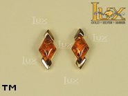 Jewellery GOLD earrings.  Stone: amber. TAG: ; name: GE229; weight: 2.3g.