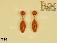 Jewellery GOLD earrings.  Stone: amber. TAG: ; name: GE234; weight: 3.4g.
