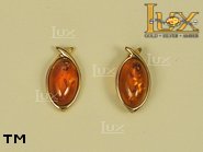 Jewellery GOLD earrings.  Stone: amber. TAG: ; name: GE252S; weight: 1.7g.