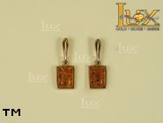 Jewellery GOLD earrings.  Stone: amber. TAG: ; name: GE254SW; weight: 2g.