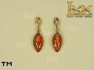 Jewellery GOLD earrings.  Stone: amber. TAG: ; name: GE260; weight: 2.3g.