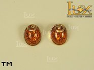 Jewellery GOLD earrings.  Stone: amber. TAG: ; name: GE267; weight: 3g.