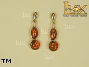 Jewellery GOLD earrings.  Stone: amber. TAG: ; name: GE272; weight: 3.2g.