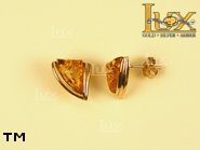 Jewellery GOLD earrings.  Stone: amber. TAG: ; name: GE281; weight: 3.6g.