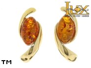Jewellery GOLD earrings.  Stone: amber. TAG: ; name: GE308; weight: 4.17g.