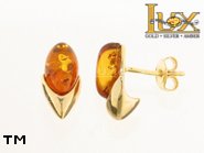 Jewellery GOLD earrings.  Stone: amber. TAG: ; name: GE318; weight: 3.3g.