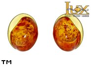 Jewellery GOLD earrings.  Stone: amber. TAG: ; name: GE393; weight: 2.92g.