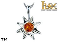 Jewellery SILVER sterling pendant.  Stone: amber. TAG: nature, animals, stars; name: P-989; weight: 2.3g.